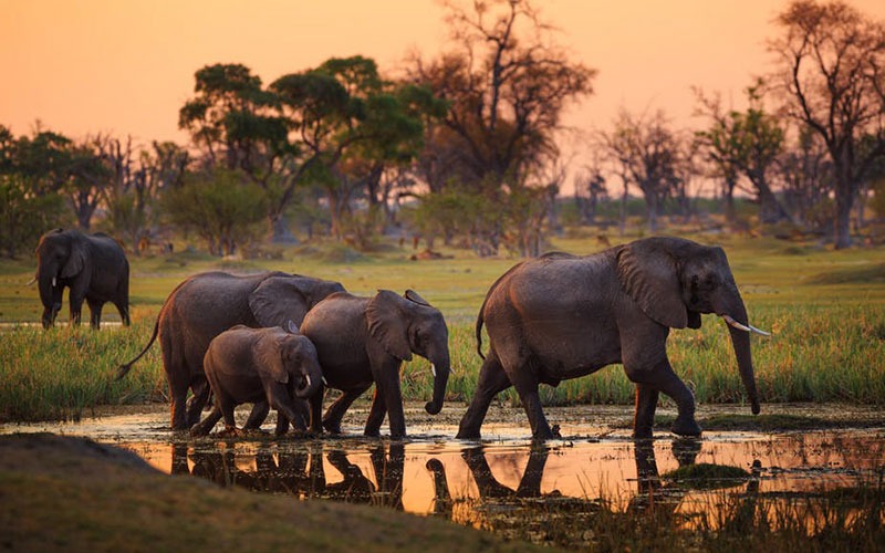 Tanzania Safari 12-Day Expedition